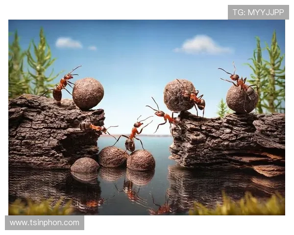 以企业家精神为核心探讨英语思维与全球商务沟通能力提升路径